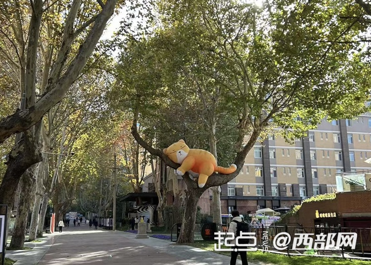 西安气温回升后突降4℃！冷空气即将来袭，你准备好了吗？  第4张