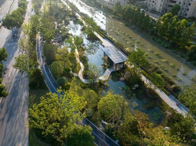 2024年度五星示范项目揭晓！奉贤区南港路绿地旧貌换新颜，打造诗意新江南景观  第2张