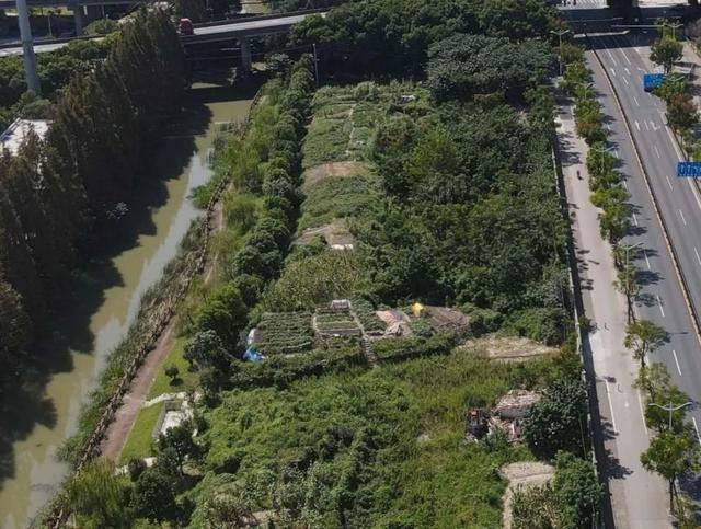 2024年度五星示范项目揭晓！奉贤区南港路绿地旧貌换新颜，打造诗意新江南景观  第4张