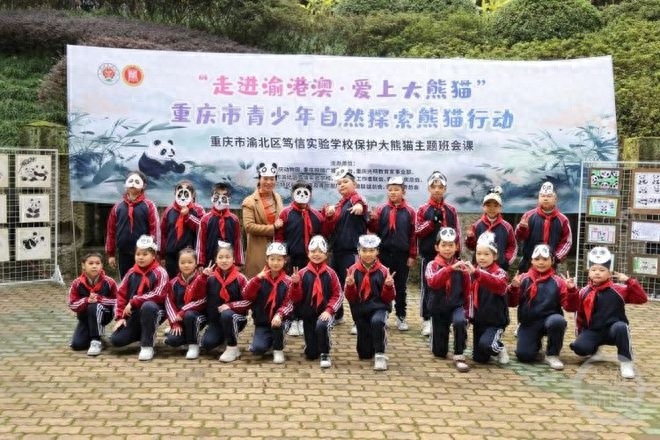 揭秘大熊猫的奇妙世界：黑眼圈、竹子大餐与冬日保暖秘籍