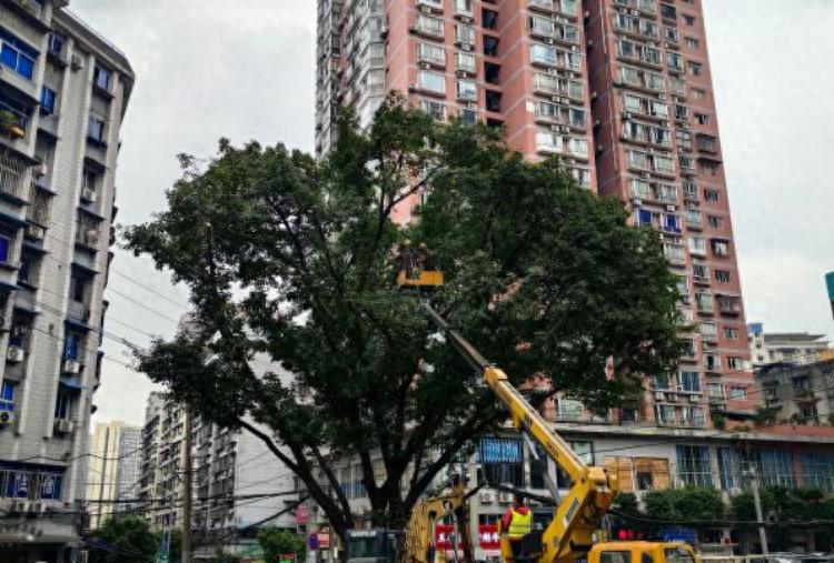 沙磁助医行动：家庭医生进社区，打通健康服务最后一公里，让惠民有感看得见、摸得着  第1张