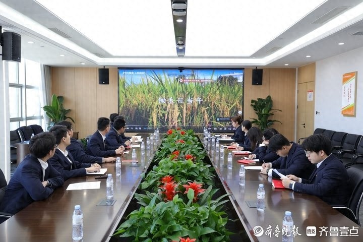 光盘行动：从一粒米到餐桌，看青年如何守护中国粮