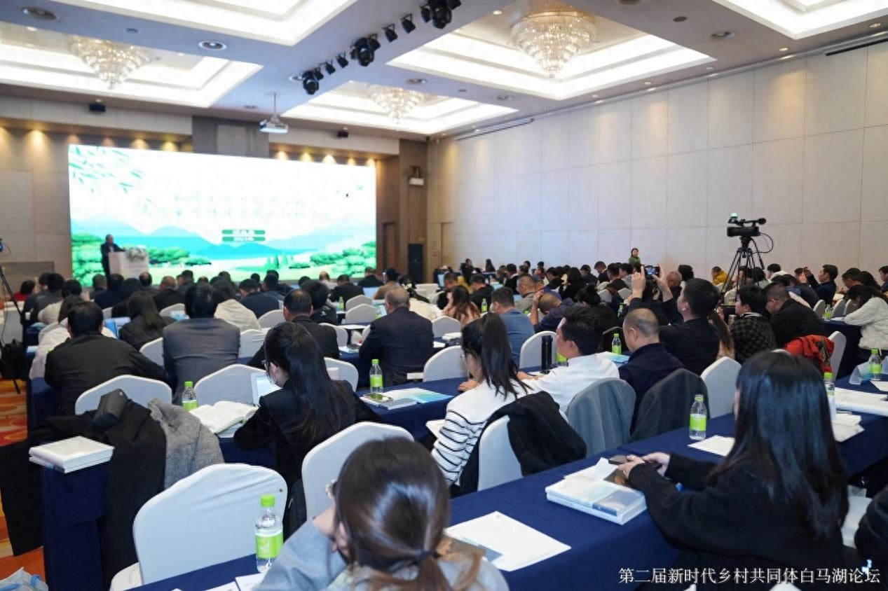 揭秘浙江乡村共同富裕新路径：组团式发展如何引领新时代？  第1张