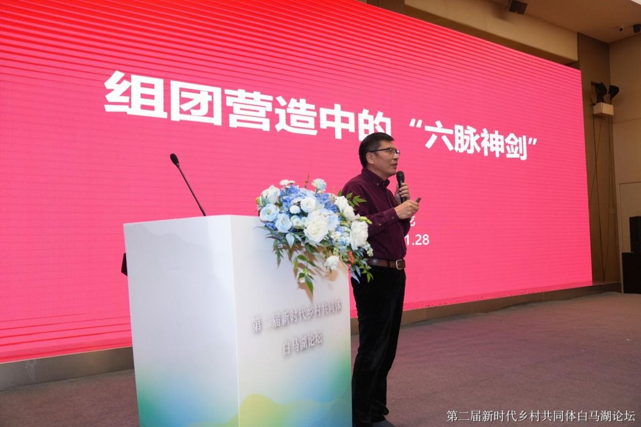 揭秘浙江乡村共同富裕新路径：组团式发展如何引领新时代？  第2张