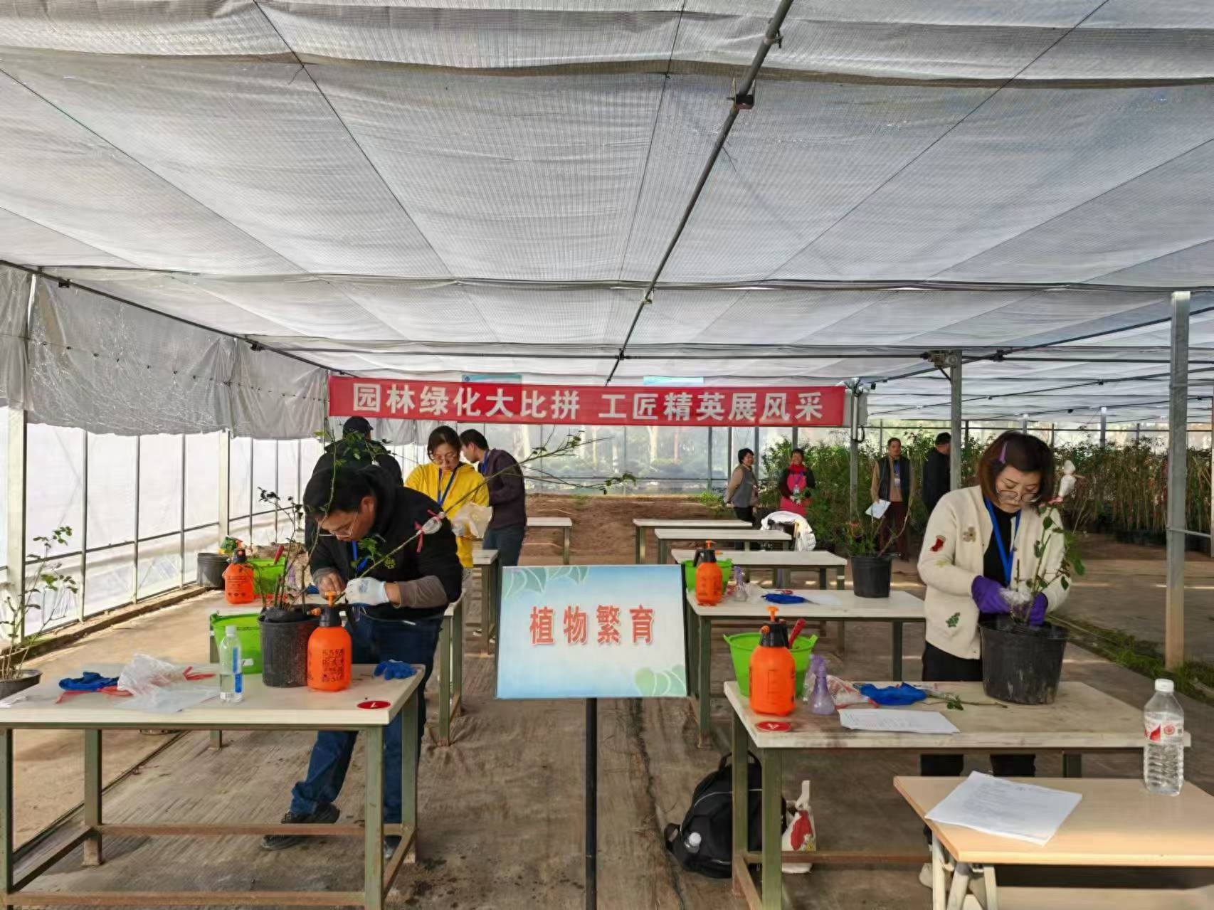2024上海绿化技能大赛揭秘：第一名选手技能等级再晋升，新标准下的园林绿化工挑战  第1张
