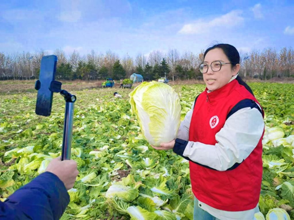 大连南牙村大白菜直播热销，小时达服务助力农民丰收季