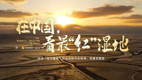 宝马携手中国科学技术馆，带你探索生物多样性与可持续发展的奥秘  第3张