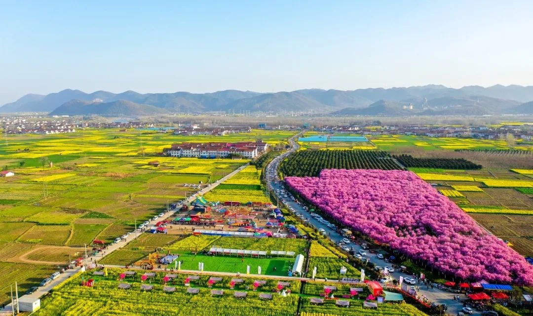 2025湾区之声·花海勉县油菜花音乐嘉年华即将盛大启幕，你准备好了吗？  第3张