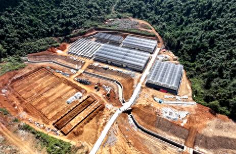 广西荔浦市花卉苗木产业崛起：330亩示范基地引领现代农业新风潮