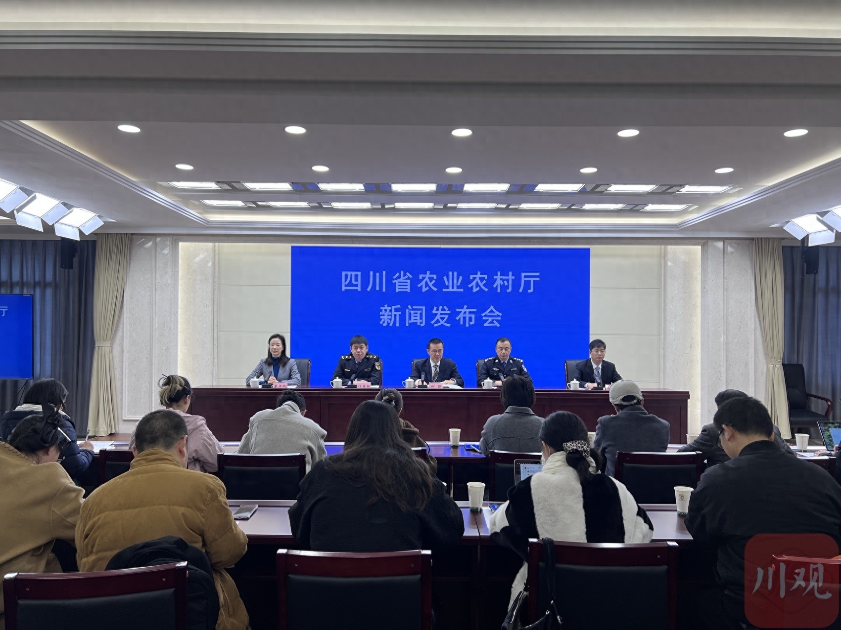 四川省长江十年禁渔：1.1万退捕渔民转产就业，1.6万渔民参保，政策支撑体系全面升级  第1张