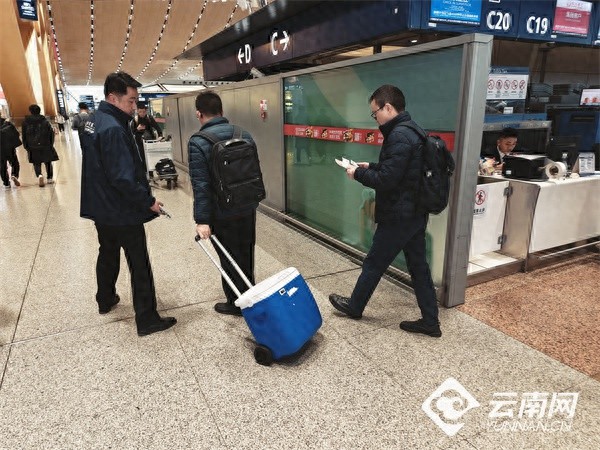10分钟生死时速！川航紧急接力，成功保障人体捐献器官承运任务