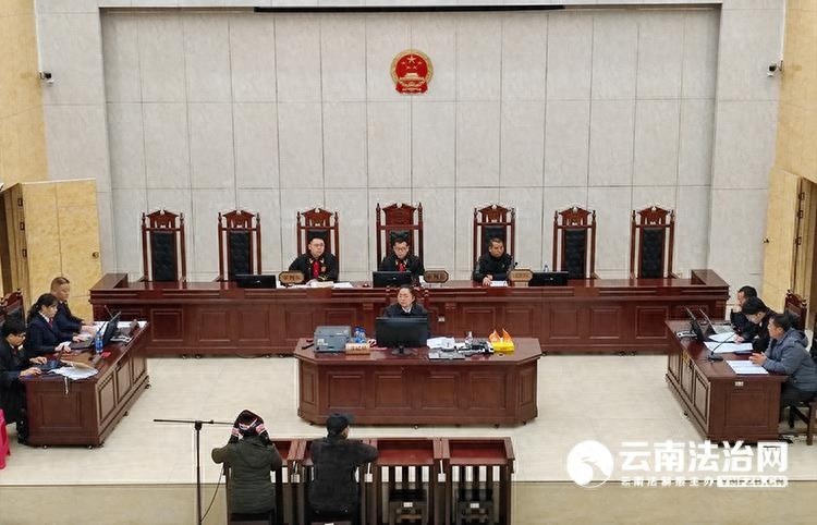 36名检察人员观摩非法行医案庭审，公诉人赵庆洪展现专业素养与严谨态度  第1张
