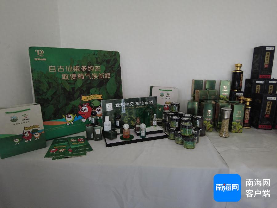 海南胡椒丰收季：探秘石壁村如何逆袭成为乡村振兴的典范  第1张