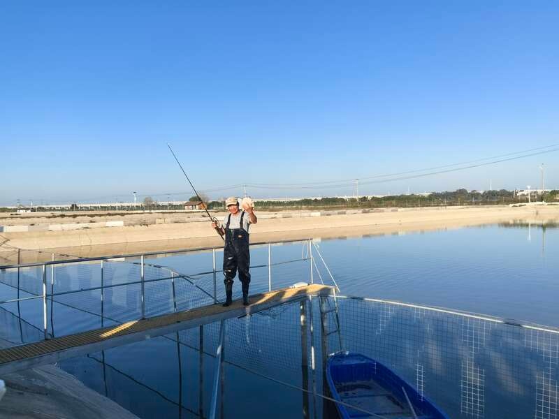 探秘湖南汉寿：甲鱼之乡的百年传承与百亿产业奇迹  第3张