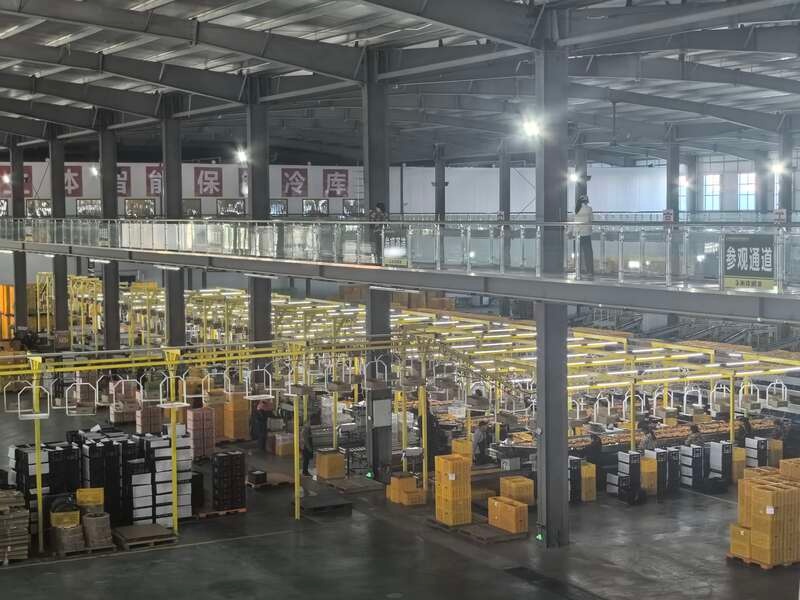 探秘湖南汉寿：甲鱼之乡的百年传承与百亿产业奇迹  第5张