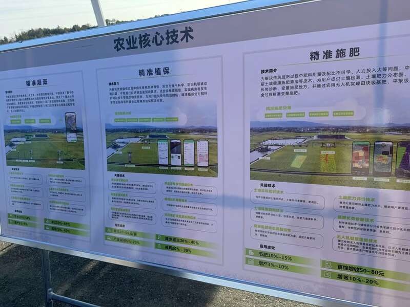 探秘湖南汉寿：甲鱼之乡的百年传承与百亿产业奇迹  第6张