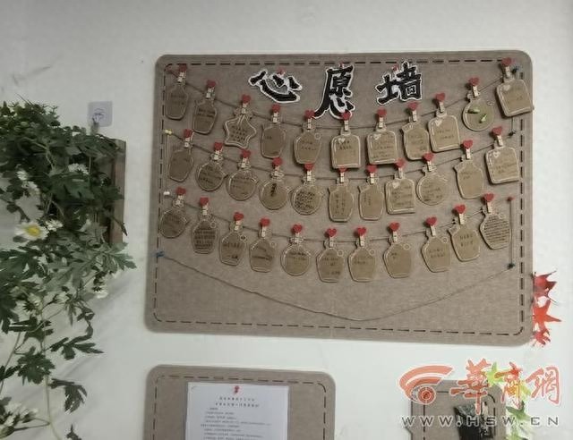 西安市第四十三中学：教室变温馨小家，绿植如画，激励学子前行  第1张