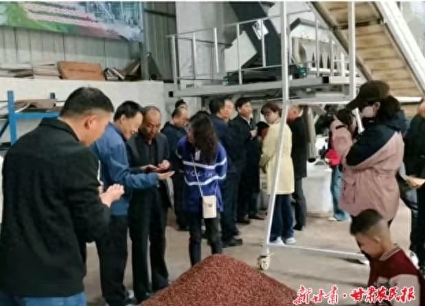 武都花椒产业升级：2024年机具现场演示会，传统与现代的精准对决  第1张