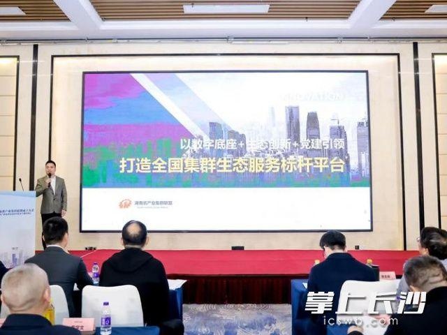 湖南省产业集群联盟成立，200位专家齐聚长沙，探索高效协同发展新模式  第2张