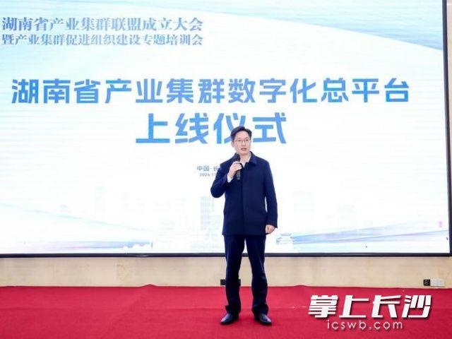 湖南省产业集群联盟成立，200位专家齐聚长沙，探索高效协同发展新模式  第3张
