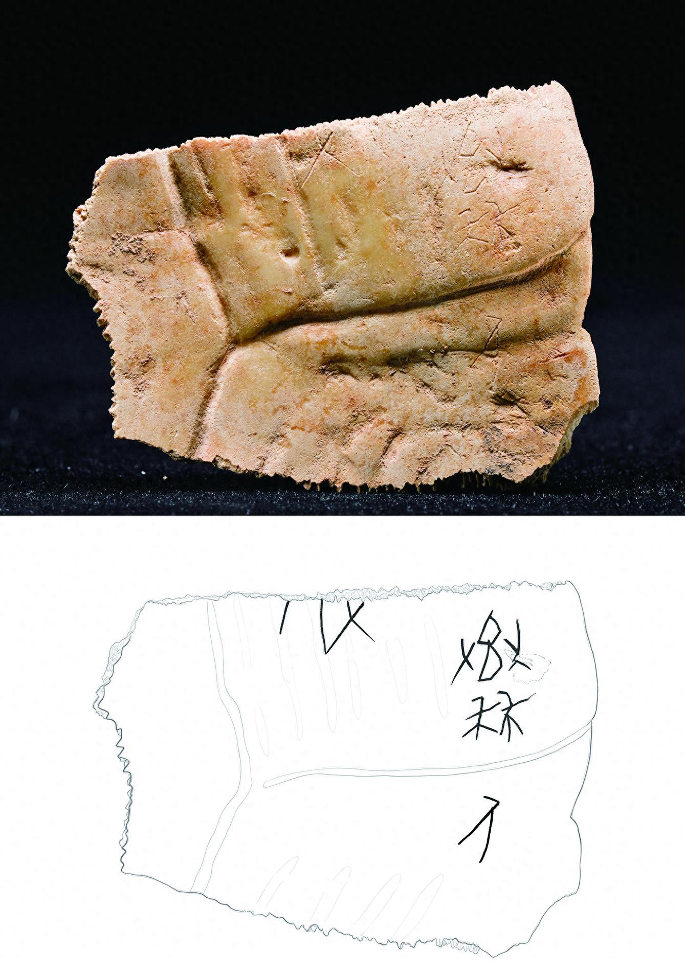 考古新发现：周原遗址首次出土刻有秦人字样的甲骨，改写历史认知