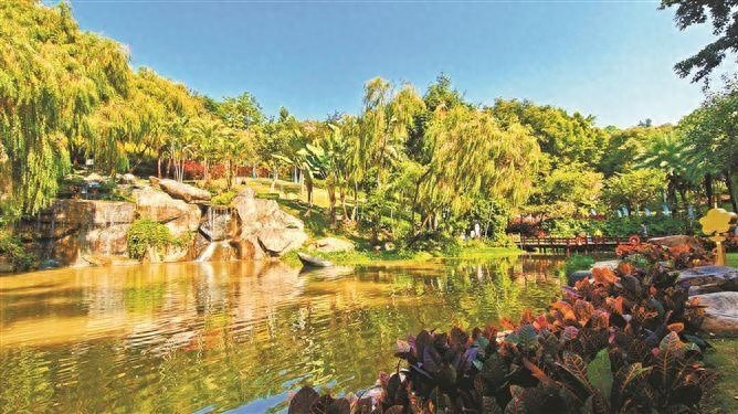 厦门气温骤降，冷空气来袭！今天气温继续下跌，明天回暖，你准备好了吗？