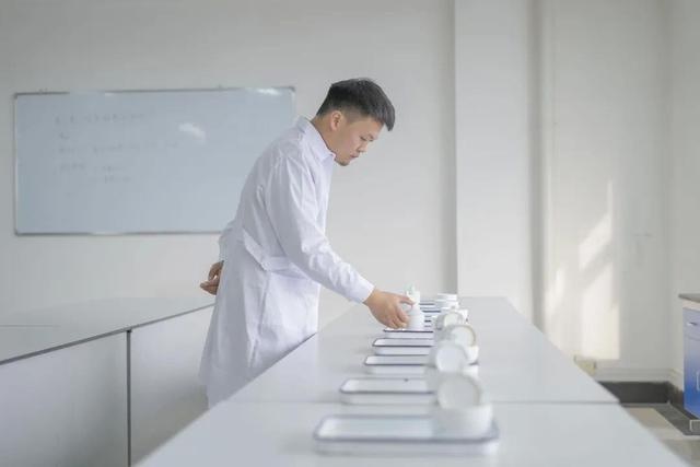 郑州不产茶，却成茶文化新地标！揭秘中原茶文化如何辐射全国  第3张