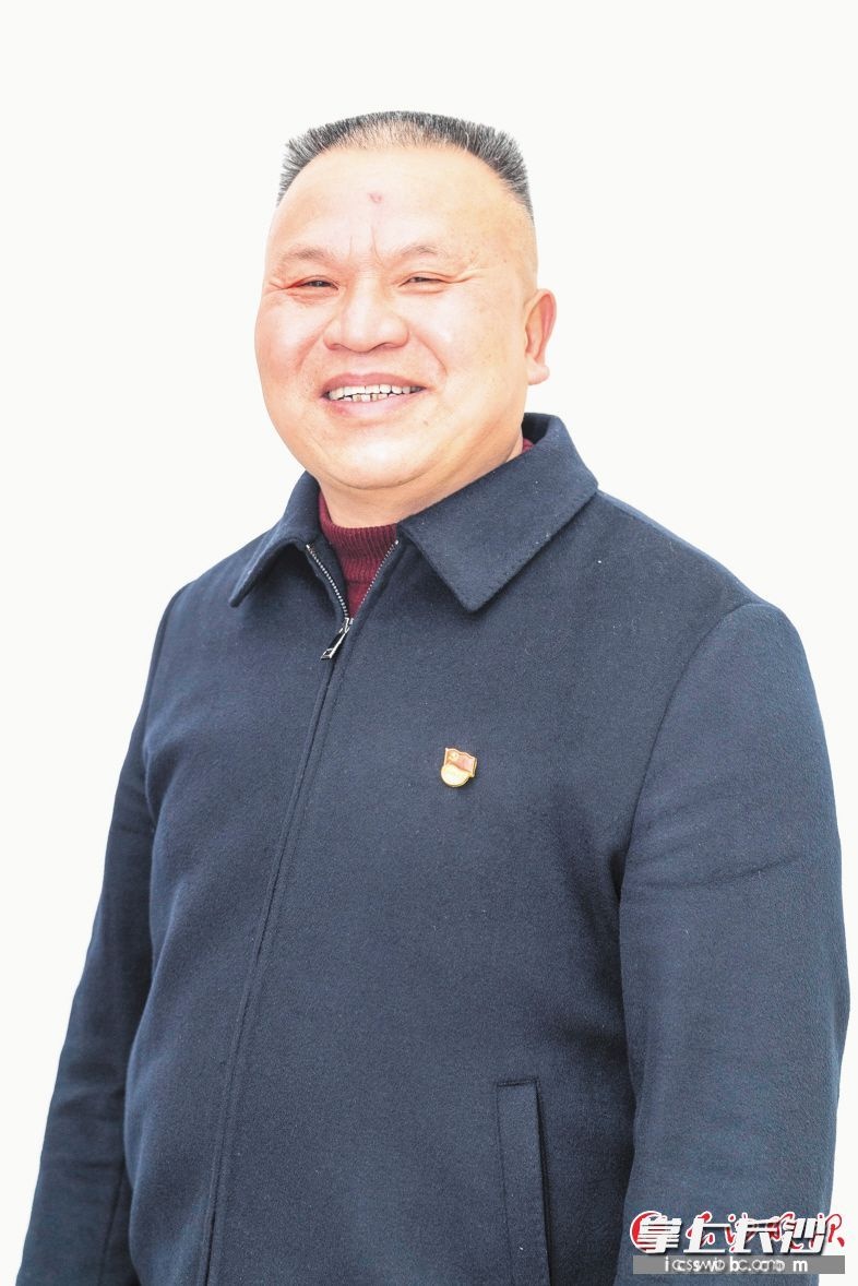 麻田村如何实现集体经济收入突破50万元？夏学启的致富秘诀大揭秘  第2张