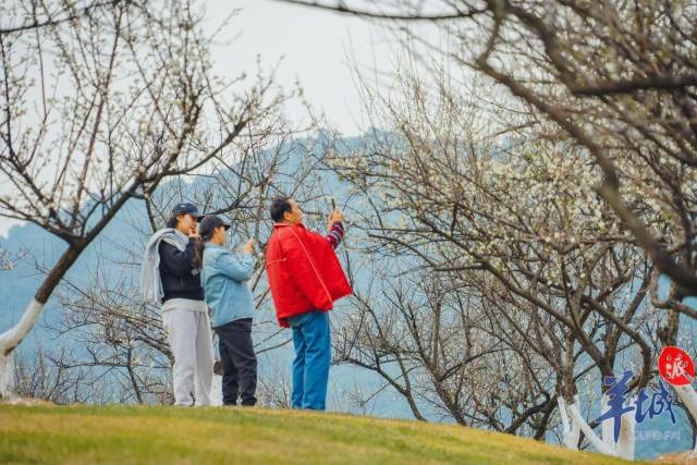 2024年余额仅剩3天！广东天气大揭秘：寒冷来袭，冬天真的来了吗？  第4张