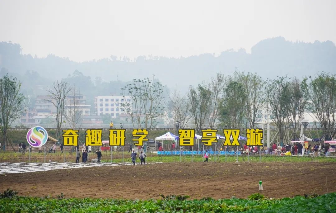 双漩村元旦晚会：冬日暖阳下的乡村幸福画卷，你不可错过的农旅盛宴  第3张
