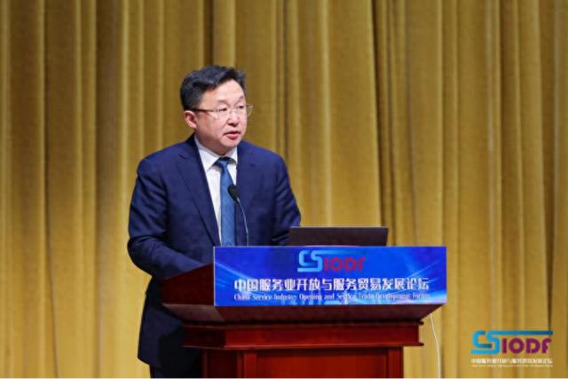 2025年中国服务贸易面临哪些挑战？专家提出五大关键建议  第1张