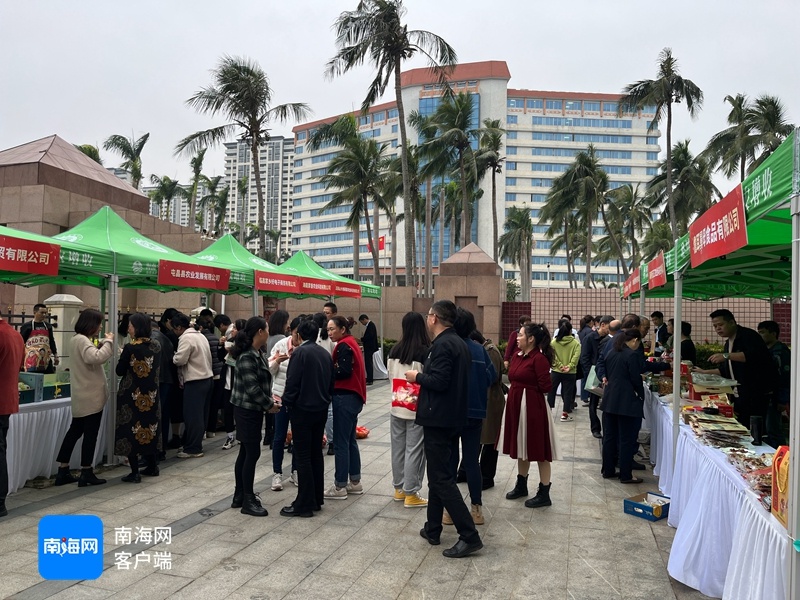 一站式购齐海南特色年货，新春集中行动农产品展销大集等你来  第2张