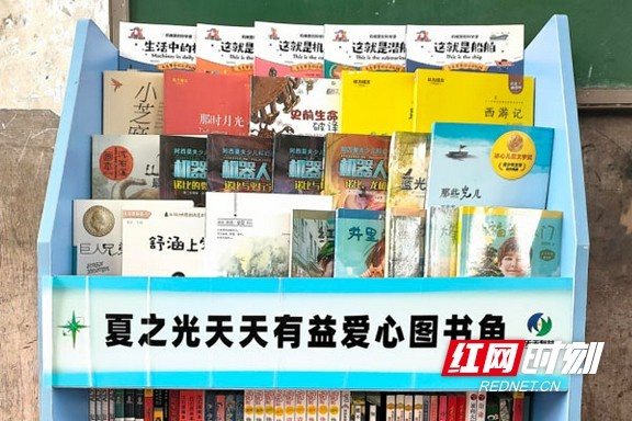 夏之光爱心学校落户金南，600册全新图书点亮孩子们的梦想之旅  第2张