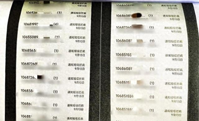 手机轰炸不停？揭秘开网店提供骚扰服务获利1万元的惊人内幕