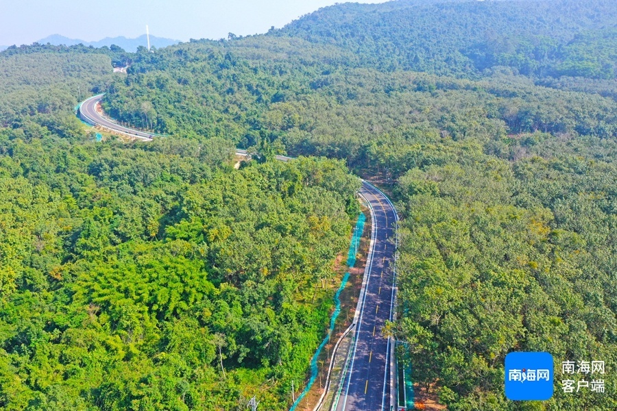 海南新地标！环热带雨林国家公园旅游公路通车，串起黎母山、五指山等自然奇观  第5张