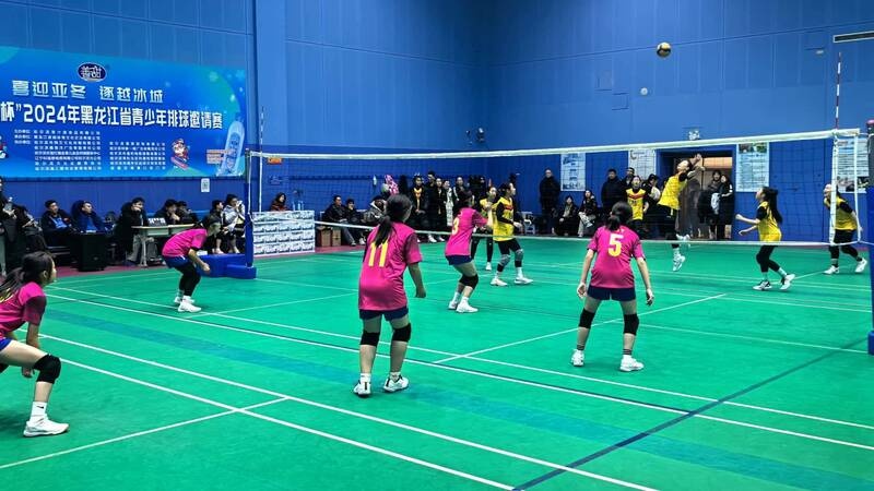 2024年哈尔滨青少年排球邀请赛：青春激扬，赛场上的热血与梦想  第2张