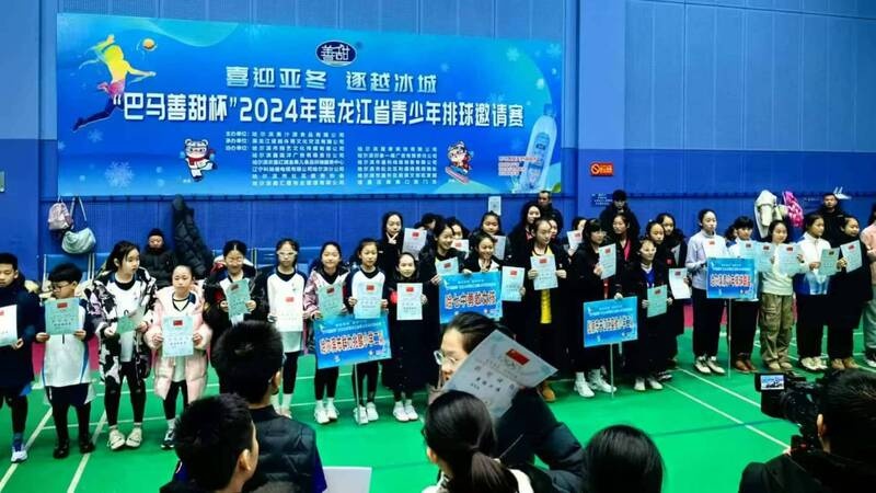 2024年哈尔滨青少年排球邀请赛：青春激扬，赛场上的热血与梦想  第4张