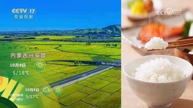兴安盟阿尔山市荣获节气名景称号，兴安盟大米入选名优特产品名录，乡村振兴新篇章  第2张