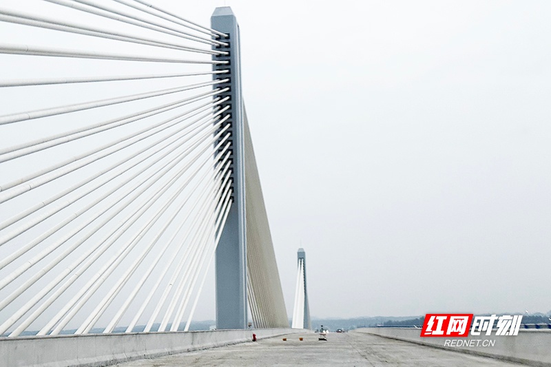 株洲湘江特大桥全桥合龙，全国最宽单箱梁体矮塔斜拉桥震撼亮相  第2张