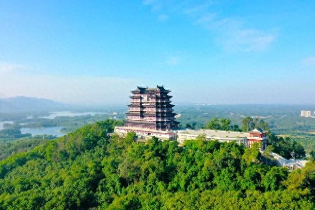 2025年新年登高活动：在儋阳楼森林公园迎接新年的健康与梦想