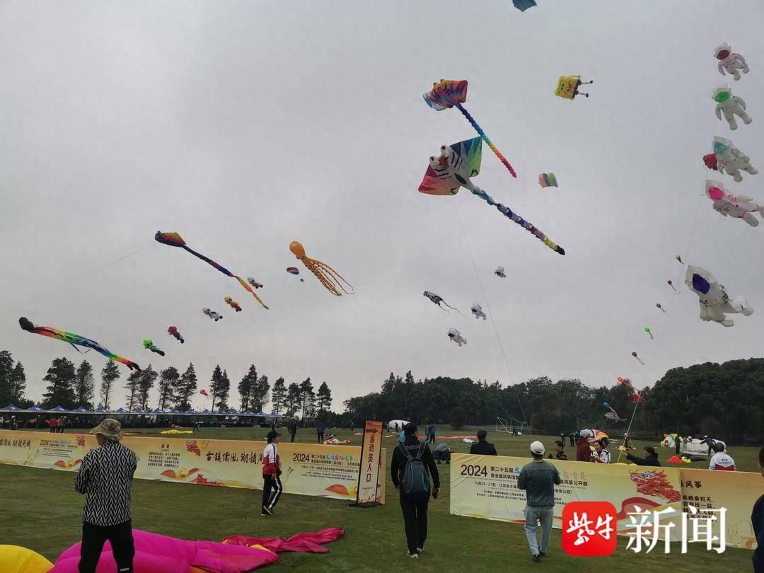 140 名运动员齐聚宜兴，2024 年江苏省风筝公开赛圆满落幕  第1张