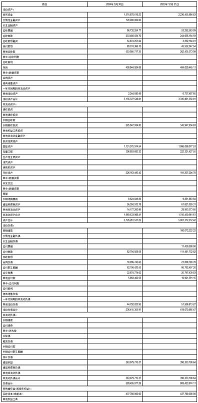 公司第三季度财务报告：真实、准确、完整，你想知道的都在这里  第5张
