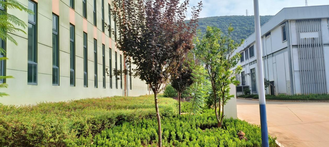 云南禄劝产业园区绿美建设，政企共建打造特色园区，你还不来看看？  第2张