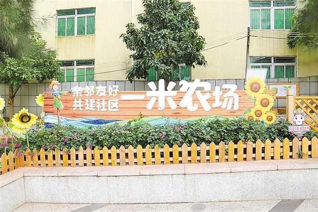 曾经的荒地，如今的一米农场，赖屋山社区的华丽转身  第1张