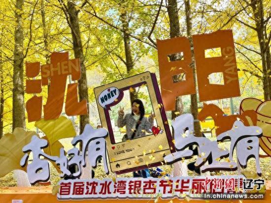 3 亿年前的古老树种，如今竟成沈城最晚入黄的盛育美景  第1张