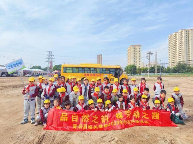 青岛嘉峪关学校二.四中队：挖地瓜，收获的不仅是果实，还有快乐  第2张