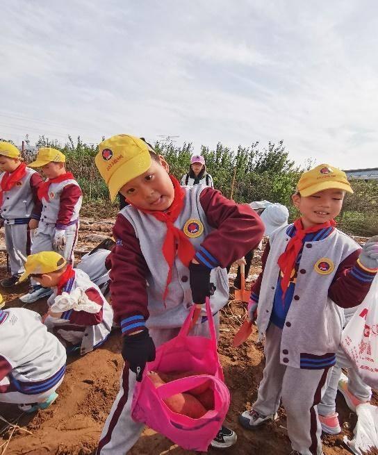 青岛嘉峪关学校二.四中队：挖地瓜，收获的不仅是果实，还有快乐  第4张
