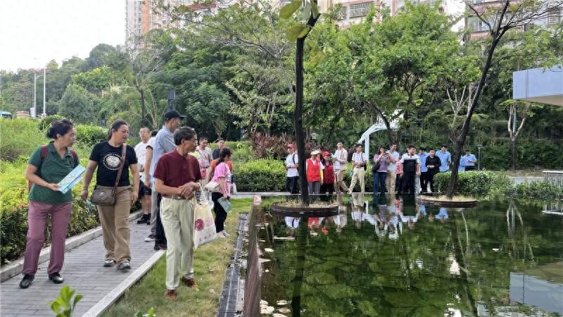 布吉街道举办行走布吉绿廊，争当巡河卫士活动，展现河湖长制工作成效  第1张