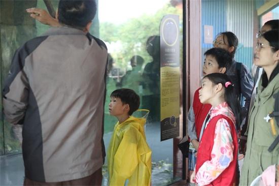 仅剩 20 种，不足 1800 只！长臂猿即将灭绝？小记者探秘神奇猿宇宙  第4张