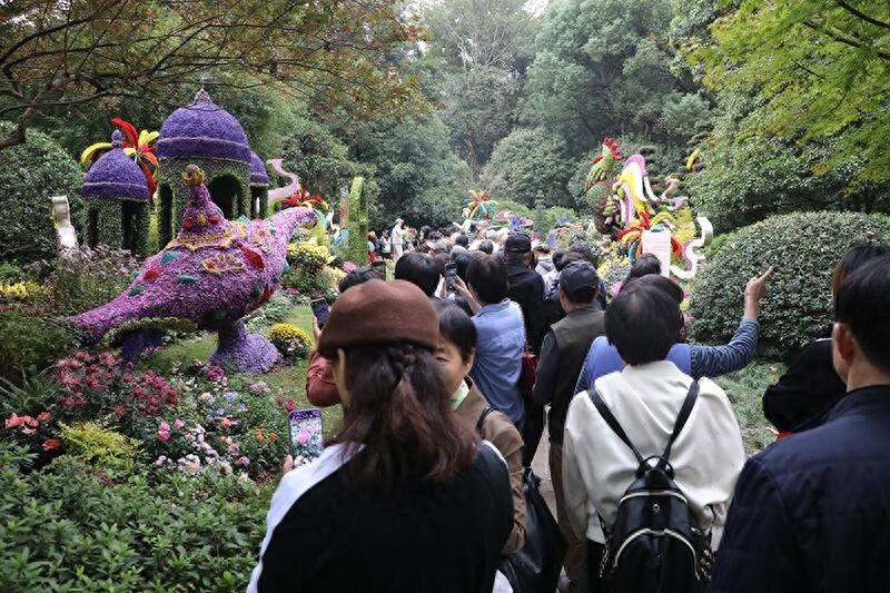 第四届长三角菊花精品展震撼开幕，万人空巷，你还不来？